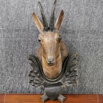 A 19th C. Black Forest carved wooden animal head with real antlers, H. 65cm. Small amount of treated