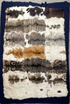 Taxidermy interest: A rare Irish domestic cat skin coaching rug by Williams of Dublin, circa 1920,