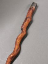 A hallmarked silver handled, naturally twisted wooden walking stick, L. 91cm.