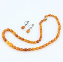 A butterscotch amber necklace together with a matching pair of earrings, L. 46cm.
