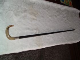 This is a nice horn handled cane with a silver collar hallmarked for London 1923 together with the