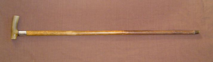 Horse measuring Stick. This horn handled Malacca stick has a large silver collar just below the