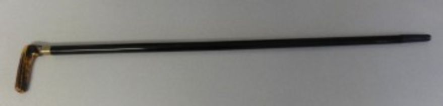 This is believed to be a botanist’s stick /cane. A rare item. It is fully ebonized with an antler