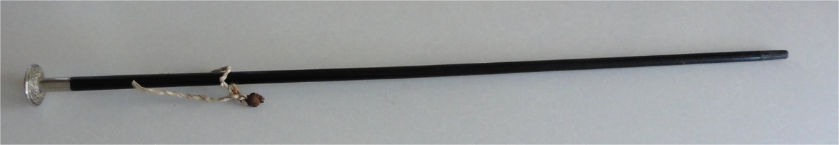 Interesting cane with a handle which has a capped recess. The cap/lid is normally clipped closed.