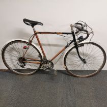 A Halfords Catkin bicycle, overall L. 170cm together with a racing bicycle with Shimano gears,