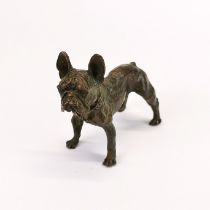 An oriental cast bronze model of a French bull dog, H. 6cm.
