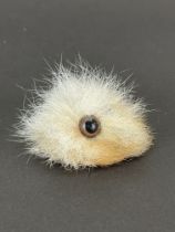 Taxidermy: A Fox Scrotum fridge magnet by Tony Armitstead, Taxidermist, Darlington. The scrotum with