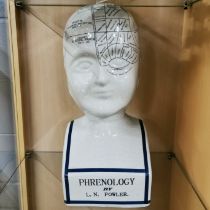 A large ceramic phrenology head, H. 39cm.