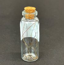 Jar of extinct Woolly Mammoth (Mammuthus primigenius) hair, Pleistocene, ~10,000 years old, obtained