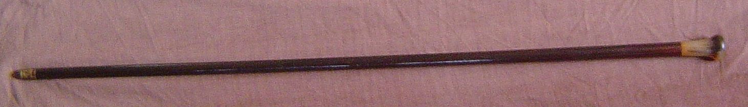 Sword / Flint stick. A most unusual horn handled rosewood shaft flick stick rather than a