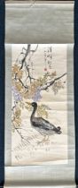 A watercolour scroll of a duck mounted on paper with a silk surround, 144 x 60.5cm.