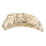 Ø AN AMERICAN WHALER'S SCRIMSHAW DECORATED TOOTH, CIRCA 1850