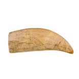 Ø AN AMERICAN SCRIMSHAW DECORATED WHALE'S TOOTH, CIRCA 1840