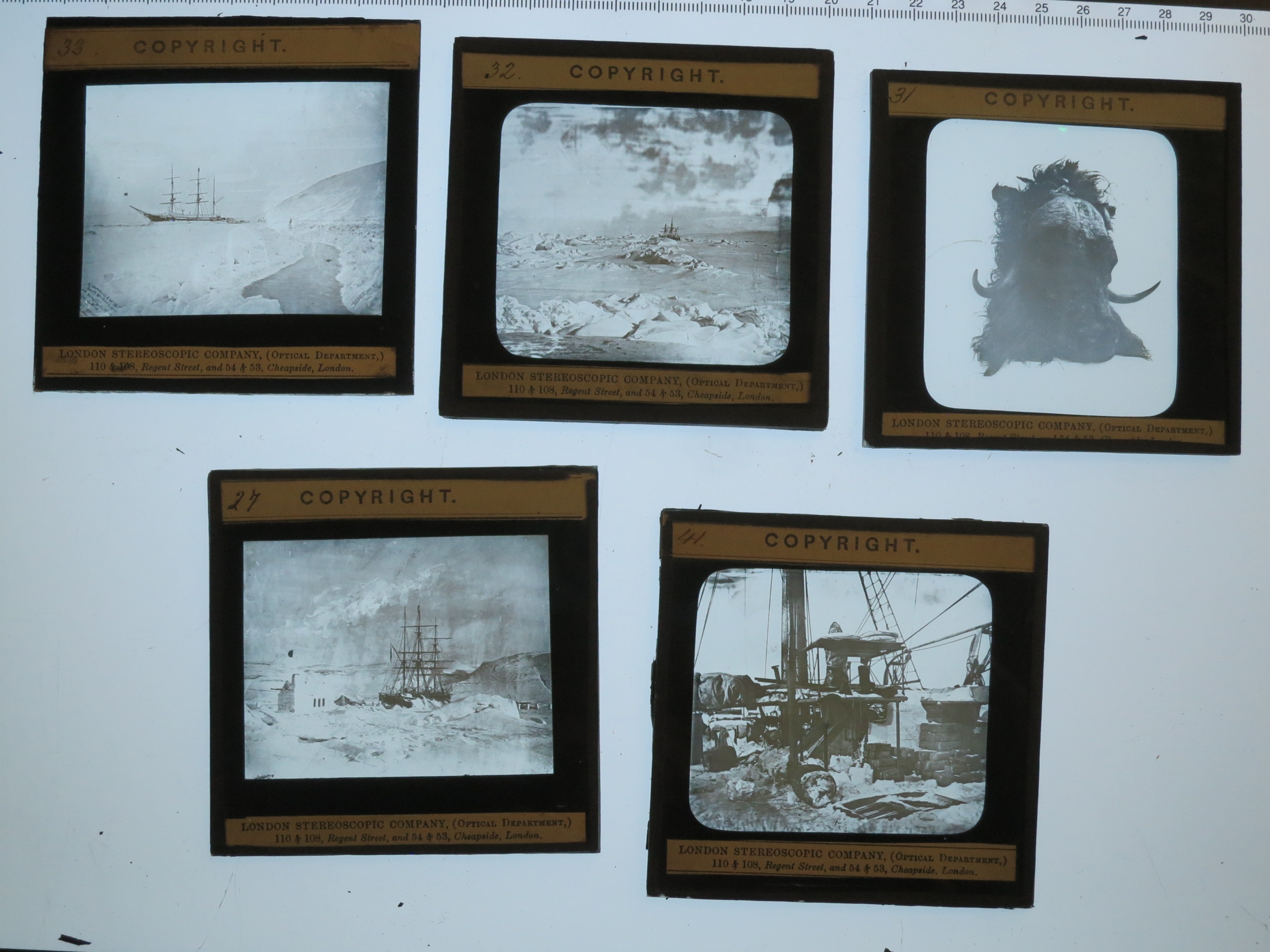 BRITISH ARCTIC EXPEDITION, 1875-76, A RARE GROUP OF PHOTOGRAPHIC SLIDES - Image 7 of 7