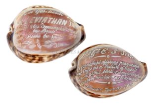 TWO COMMEMORATIVE COWRIE SHELLS FOR THE GREAT EASTERN