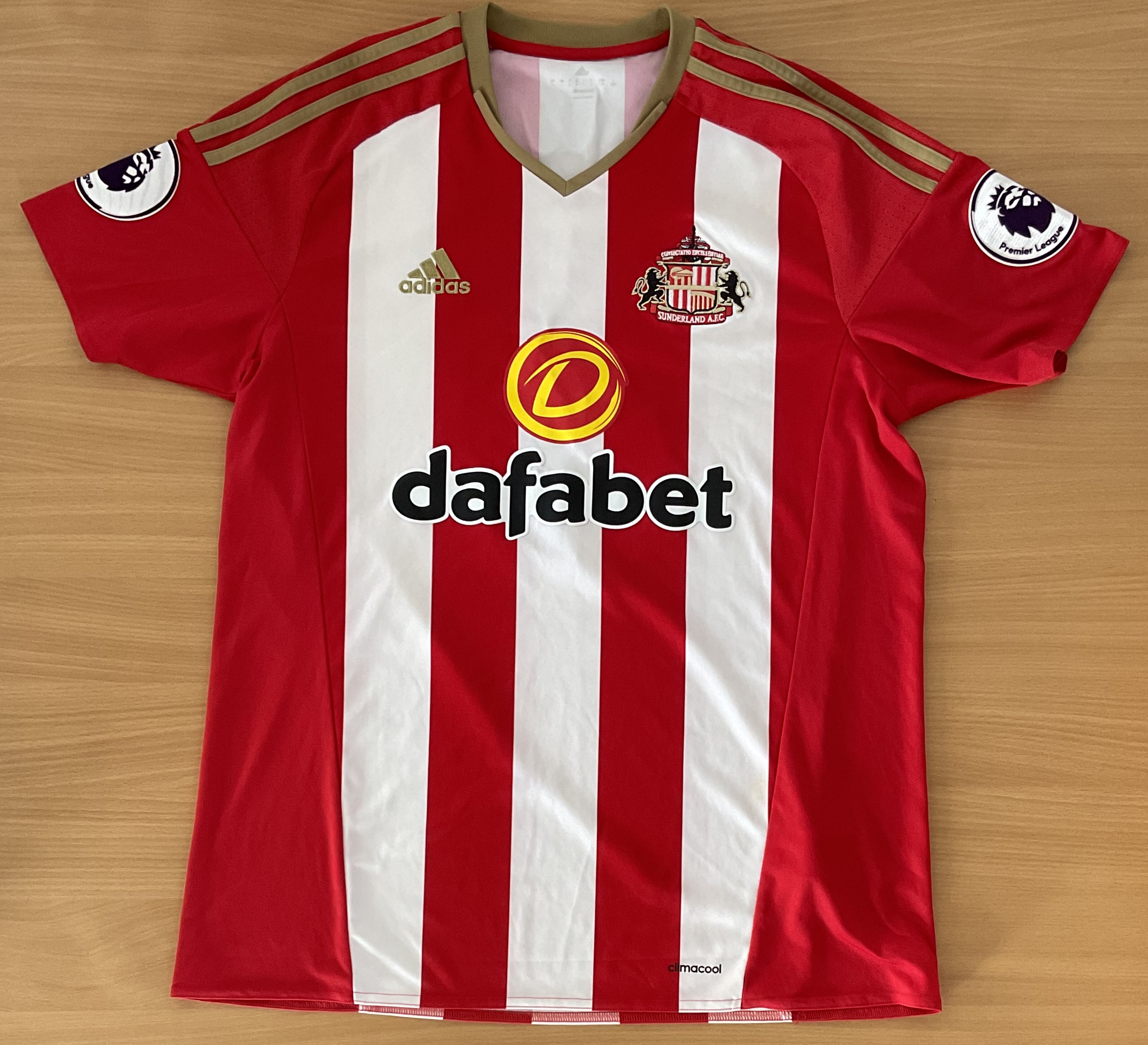 Football Jack Rodwell Signed Sunderland FC Home match worn Jersey. Signed in black ink. Shirt Has - Image 3 of 3