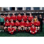 Football Autographed Tom David 12 X 8 Photo - Col, Depicting A Superb Image Showing The Welsh Team