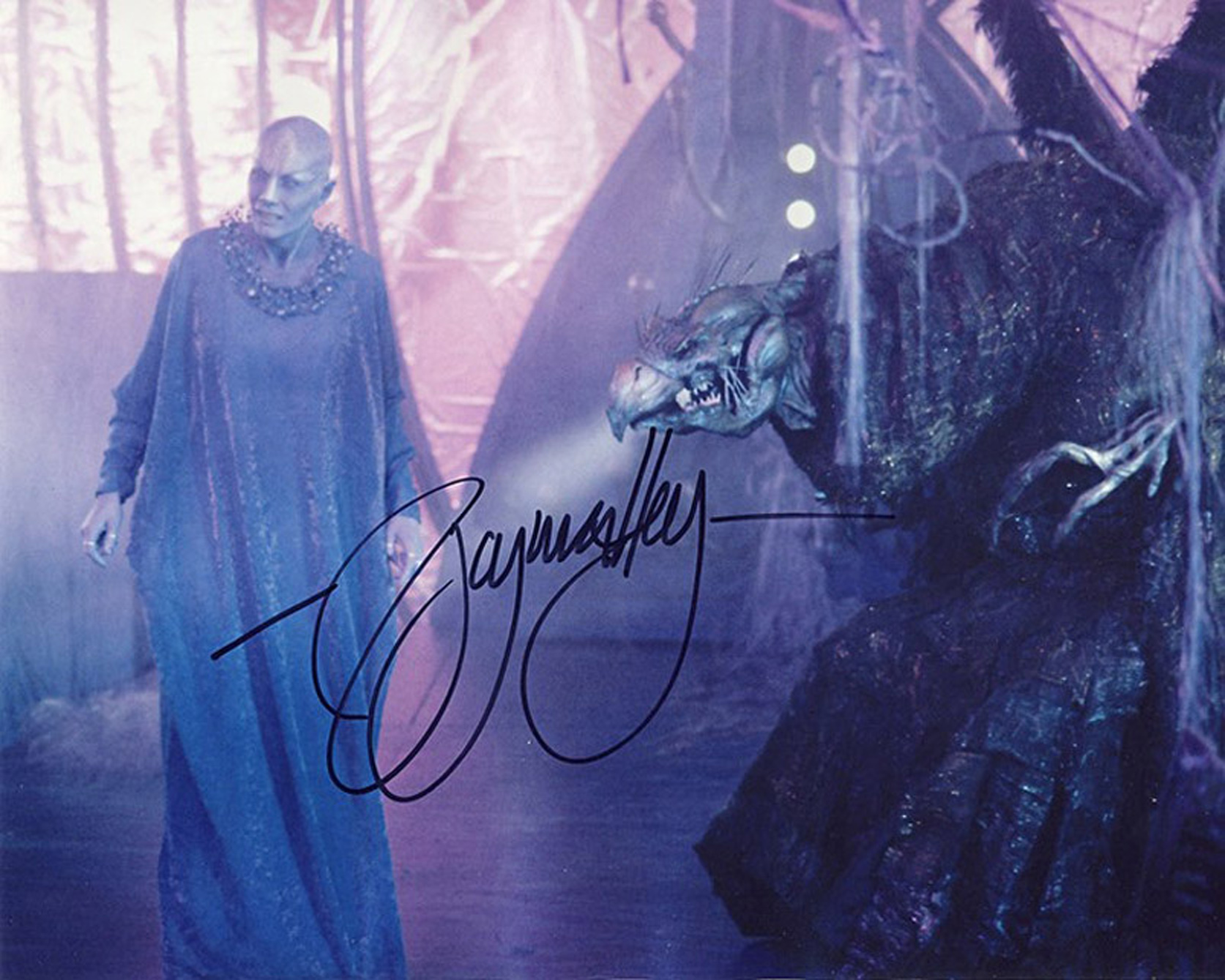 Blowout Sale! Lot of 11 Sci-Fi / Fantasy hand signed 10x8 photos. This is a beautiful lot of 11 hand - Image 12 of 12