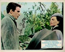 Warren Beatty Signed 10x8 inch Colour Splendour In The Grass Lobby Card. Signed in black ink. Fair