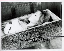 Ingrid Pitt Signed 10x8 inch Black and White Photo. Signed in black ink. Good Condition. All