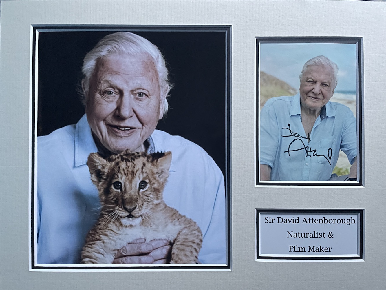 David Attenborough Wildlife Film Maker Signed Display. Good Condition. All autographs come with a