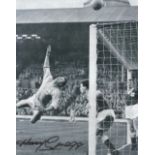 Football. Harry Gregg Signed 10x8 black and white photo. Photo shows Gregg in action for Northern