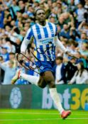 Football Danny Welbeck signed Brighton 12x8 colour photo. Good Condition. All autographs come with a