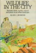 Wildlife in The City - Animals, Birds, Reptiles, Insects and Plants in an Urban Landscape by Alan