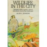 Wildlife in The City - Animals, Birds, Reptiles, Insects and Plants in an Urban Landscape by Alan