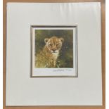 David Shepherd signed limited edition 10x10 tiger cub mounted piece. 164/1000. Est. Good