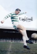 Autographed Tommy Gemmell 12 X 8 Photo : Col, Depicting A Wonderful Image Showing Celtic Full Back