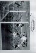 Football Jimmy Greaves Signed 19x14 inch Black and White Print Showing Greaves During England V