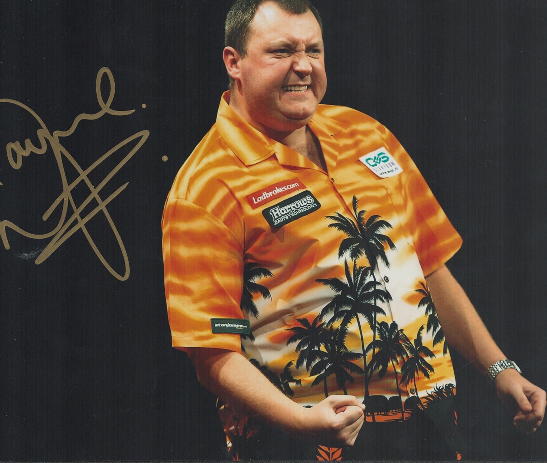 Darts Wayne Mardle signed 12x8 colour photo. Wayne Elliot Mardle (born 10 May 1973) is an English