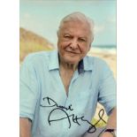 Sir David Attenborough. P, C picture of the national treasure. Good condition. All autographs are