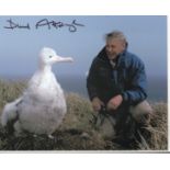 Sir David Attenborough. 10X8 picture of the national treasure. Good condition. All autographs are