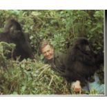 Sir David Attenborough. 10X8 picture of the national treasure. Good condition. All autographs are