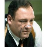 Tv and Film. James Gandolfini Signed 10 x 8 inch Colour Photo in blue marker pen. Good Condition.