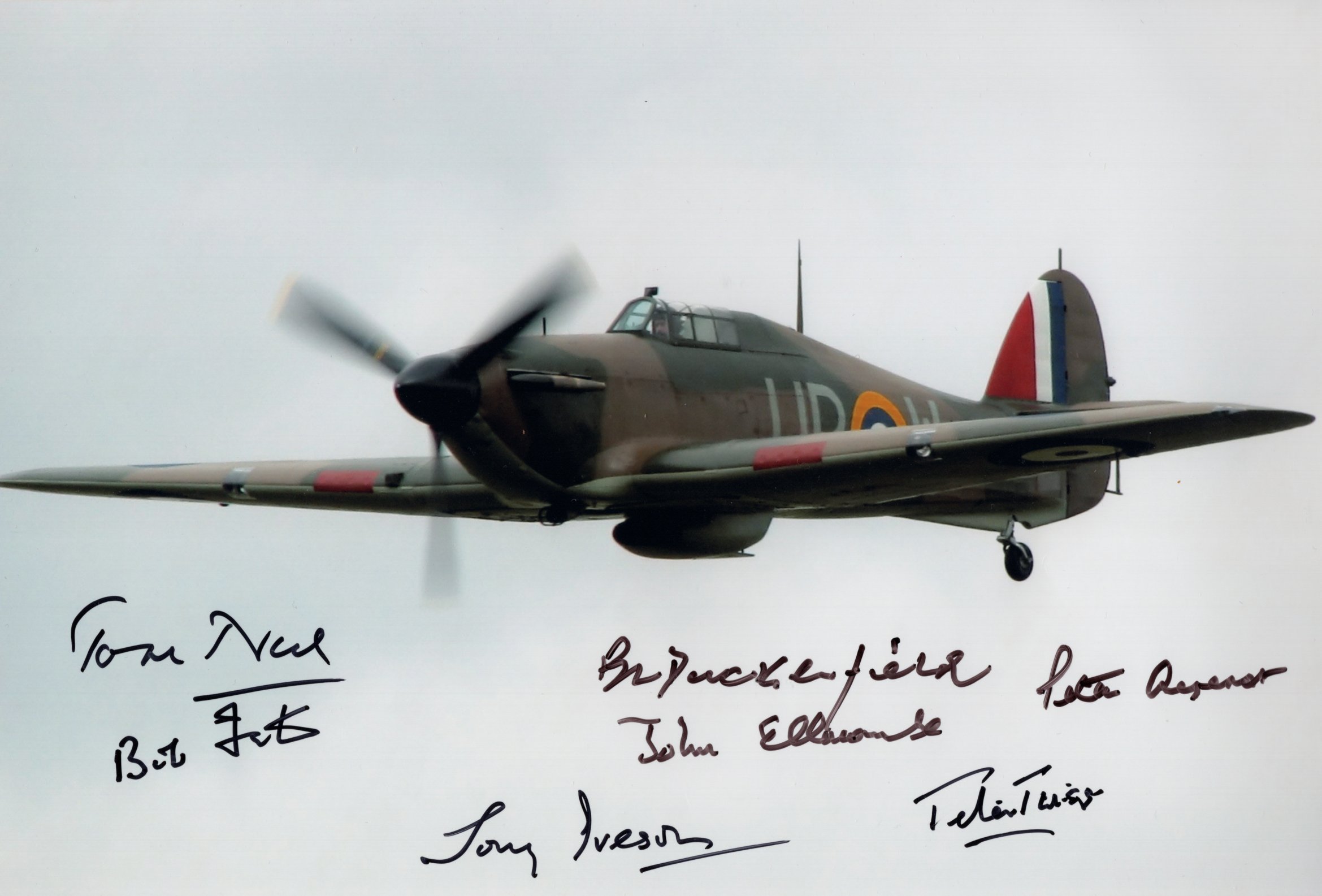 RAF Spitfire 8x12 photo signed by Seven WW2 Battle of Britain pilots and aces, including Tom Neil