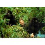 David Attenborough signed 12x8 inch colour photo. Sir David Frederick Attenborough (born 8 May 1926)