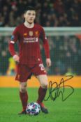 Football Andrew Robertson signed 12x8 inch colour photo pictured in action for Liverpool. Good