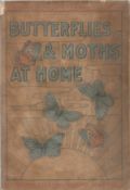 Butterflies and Moths at Home. 60 photographs from nature by A. Forrester. Published by Gowans and