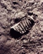 Astronaut multi signed 10x8 inch Footprint on the moon photo includes Charlie Duke, Gene Cernan,
