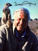 David Attenborough signed 7x5 colour photo. Good condition. All autographs are genuine hand signed