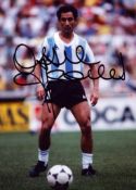 Ossie Ardiles signed 7x5 colour photo. Good condition. All autographs are genuine hand signed and