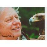 David Attenborough signed 12x8 inch colour photo. Good condition. All autographs are genuine hand
