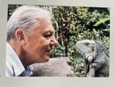 David Attenborough Naturalist and Wildlife Film Maker 6x4 inch signed photo. Good condition. All