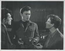 Laurence Harvey signed 10x8inch black and white photo. Good condition. All autographs are genuine