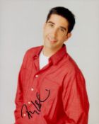 David Schwimmer signed 10x8 inch colour photo. Good condition. All autographs are genuine hand
