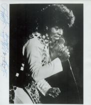 Little Richard signed 10x8 inch black and white photo. Good condition. All autographs are genuine