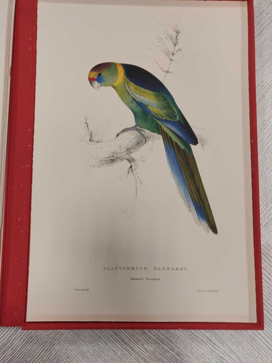 A box set of reproduction prints of parrots after Edward Lear; together with a box set of - Image 8 of 11